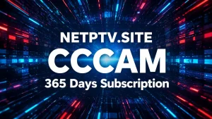 Buy Annual CCcam Subscription Plan 365 days - NetPTV
